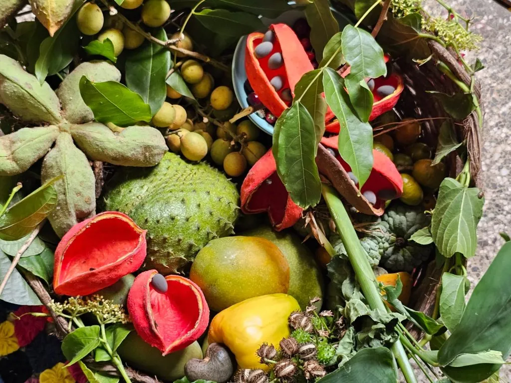 Agro, Agroecología, Alimentos, Investigación, Ciencias Sociales